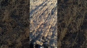 Как я провел лето 2025. Вертикальная нарезка