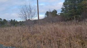 продолжение прогулки движение это жизнь