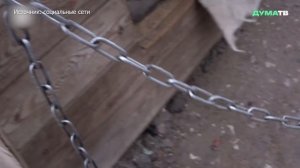 Самокиш: законопроект об учёте и регистрации собак может быть принят до конца 2025 года