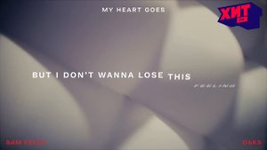 Sam Feldt - My Heart Goes