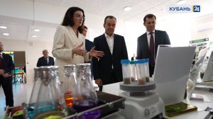 Краснодарский край четвертый раз подряд принял фестиваль «Наука 0+»