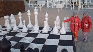 Поиграем в шахматы на пляже!