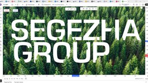 Обзор акции СЕГЕЖА.