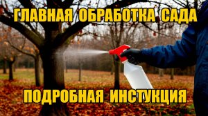 МЕТОД - БОМБА! Чем обработать сад - осенний способ спасти деревья и урожай