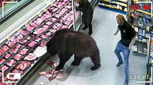 Невероятные моменты попавшие на камеры наружного видеонаблюдения