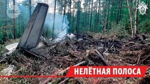 Более 500 тыс. рублей заплатит компания «Ангара» за вред тайге после авиакатастрофы в Тынде