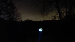 Налобный фонарь Police OL-8099-TG