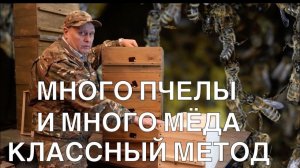 МНОГО ПЧЕЛЫ И МНОГО МЁДА, КЛАССНЫЙ МЕТОД