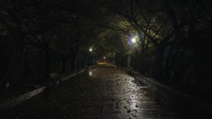 АСМР шум дождя для спокойной и уютной ночи 🌧️