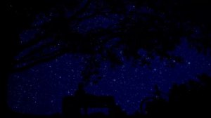 Ночное звездное небо ✨ Космическая музыка для сна и расслабления