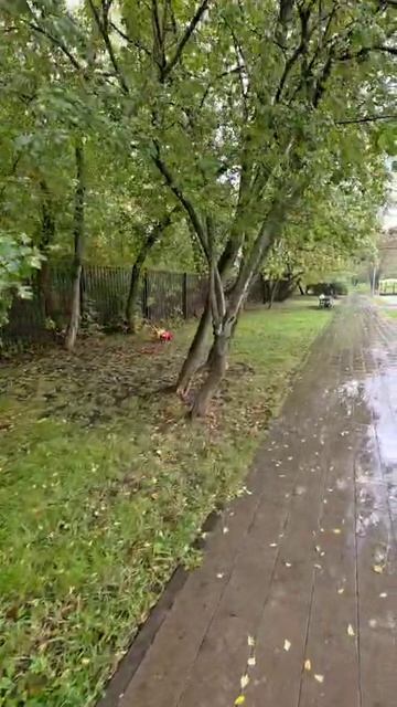 VID-20251001-WA0024.mp4