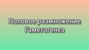 Половое размножение