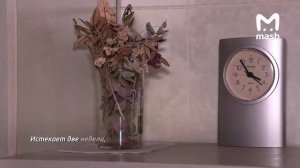 пенсионерка охренела! Продала квартиру по указанию хохлов, пыталась совершить теракт , а теперь...