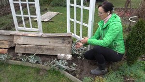 6 соток 30 октября 2025 года. Хроника