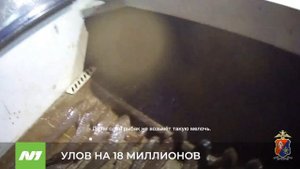 Рыбалка с последствиями. Какое наказние ждёт вартовчанина-браконьера? Нижневартовск