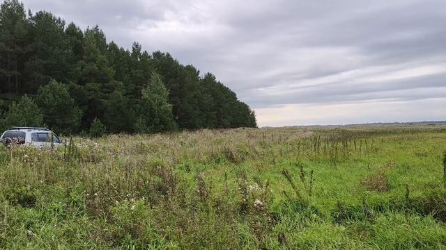 Как я провел лето 2025😁