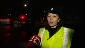 Светоотражатели 31.10.2025