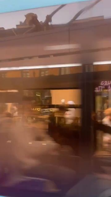 Санкт Петербург. Невский проспект.