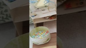 опять переезд?🤭🤭🤭# бумажные собаки