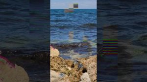 Морская медитация