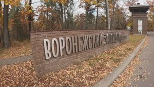 Воронежский заповедник. Бобры и черепашьи тропы