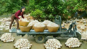 Собираю утиные яица и продаю их на деревенском рынке. Жизнь во Вьетнаме