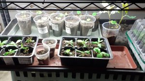 31.10.2025 По каким причинам отписываюсь от блогеров. Почему пока не использую профлампы.