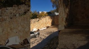 VID_20251031_143531.mp4