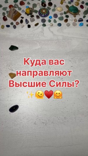 КУДА ВАС НАПРАВЛЯЮТ ВЫСШИЕ СИЛЫ?