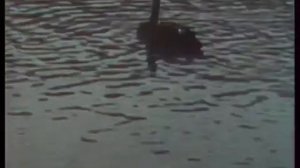 Памяти заслуженного деятеля искусств МССР Сергея Фёдоровича Подмарёва