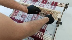 petal_20251031_143525.mp4