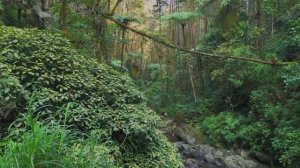 Fifty Shades Seduction Mix – The Sexiest Night Playlist You’ll Ever Need