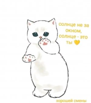 привет ✌️ всем