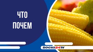 СОЛЕНИЯ: что почем на Центральном рынке Сочи