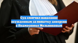 Суд смягчил наказание осужденным за попытку диверсии в Подмосковье Мельниковым
