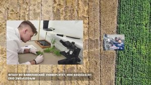 Какие молодежные инициативы сегодня преображают аграрный сектор?