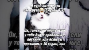 Лодка ~ CapCut~первые 5 фото моя кошко