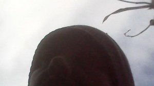 Во исполнение заповеди Христовой о почитании родителей - помогаю маме в саду