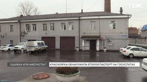 «Юридический двойник»: у красноярки на «Госуслсугах» появился второй паспорт