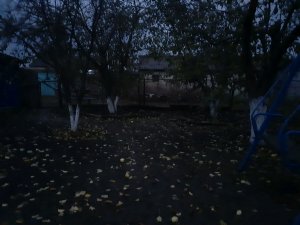 показываем двор