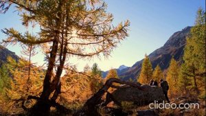 Сутки вдвоём. О.Старинец, исп.группа ОСАН