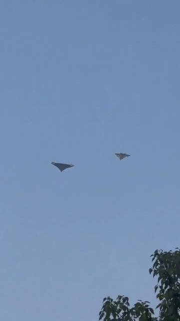 Китайские истребители 5-го и 6-го поколений впервые пролетели вместе