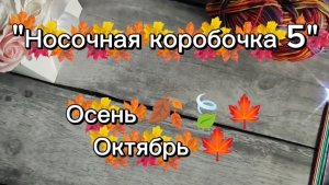 "Носочная коробочка 5" 🍁🍃🍂 // Октябрь // Учусь новому 🧶
