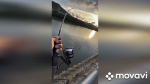 Звуки которые можно слышать долго.