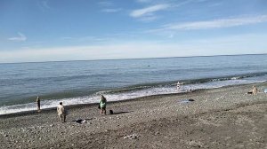 Пляжный сезон продолжается в Адлере. 31.10.2025