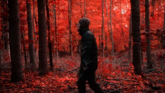 Странная красота Aerochrome от Kodak