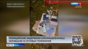 Нижегородские полицейские задержали подозреваемую в серии краж сотовых телефонов