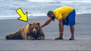Медведь РЫДАЛ у него в ногах... но КОГДА он понял ПРИЧИНУ – СТАЛО СТРАШНО.
