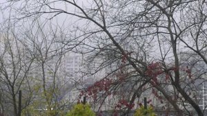 О погоде в Воронежской области в последний месяц осени