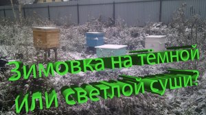 Зимовка пчёл: Светлая или тёмная сушь? Критерии выбора от мастера